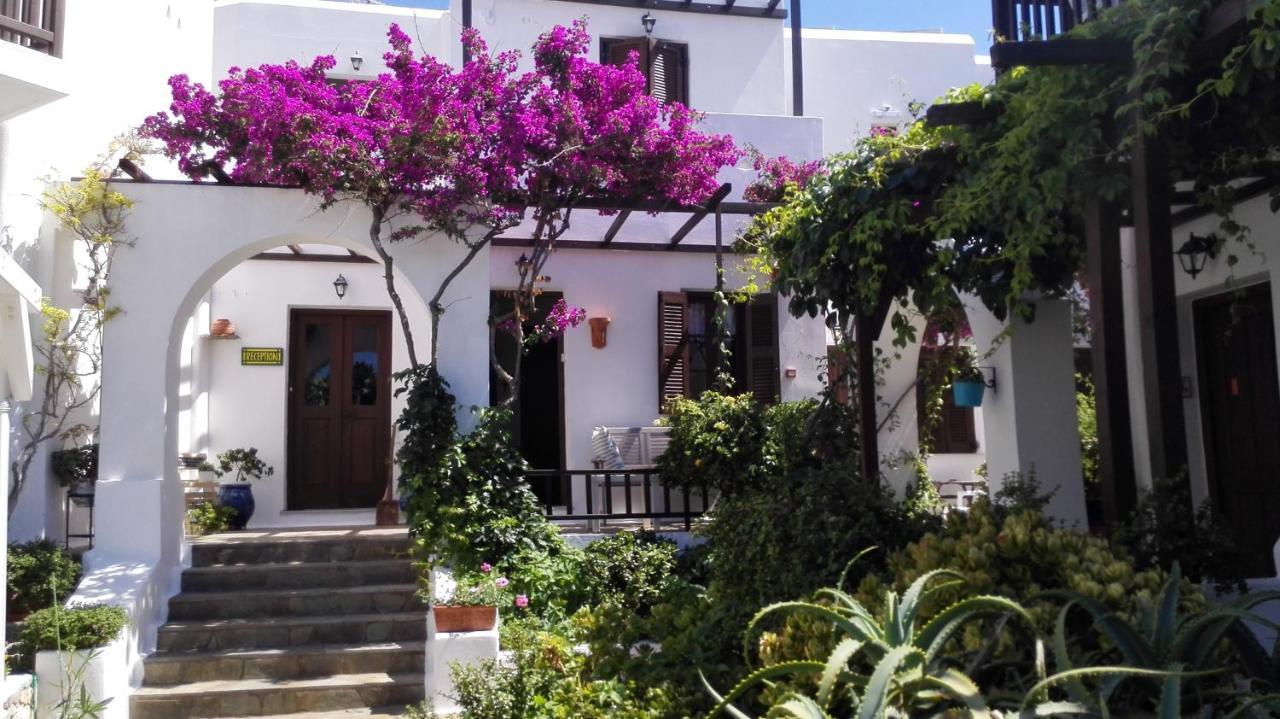 Christina Hotel, Adults Only, Heated Salt Water Pool Hotel Naoussa